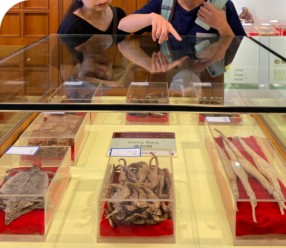 Dried herbs displayed in South China Medicinal Herbs Farm.