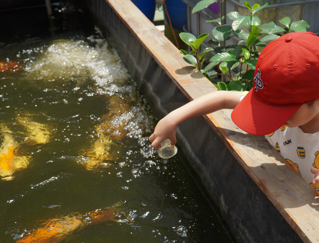 Youth feeding fish