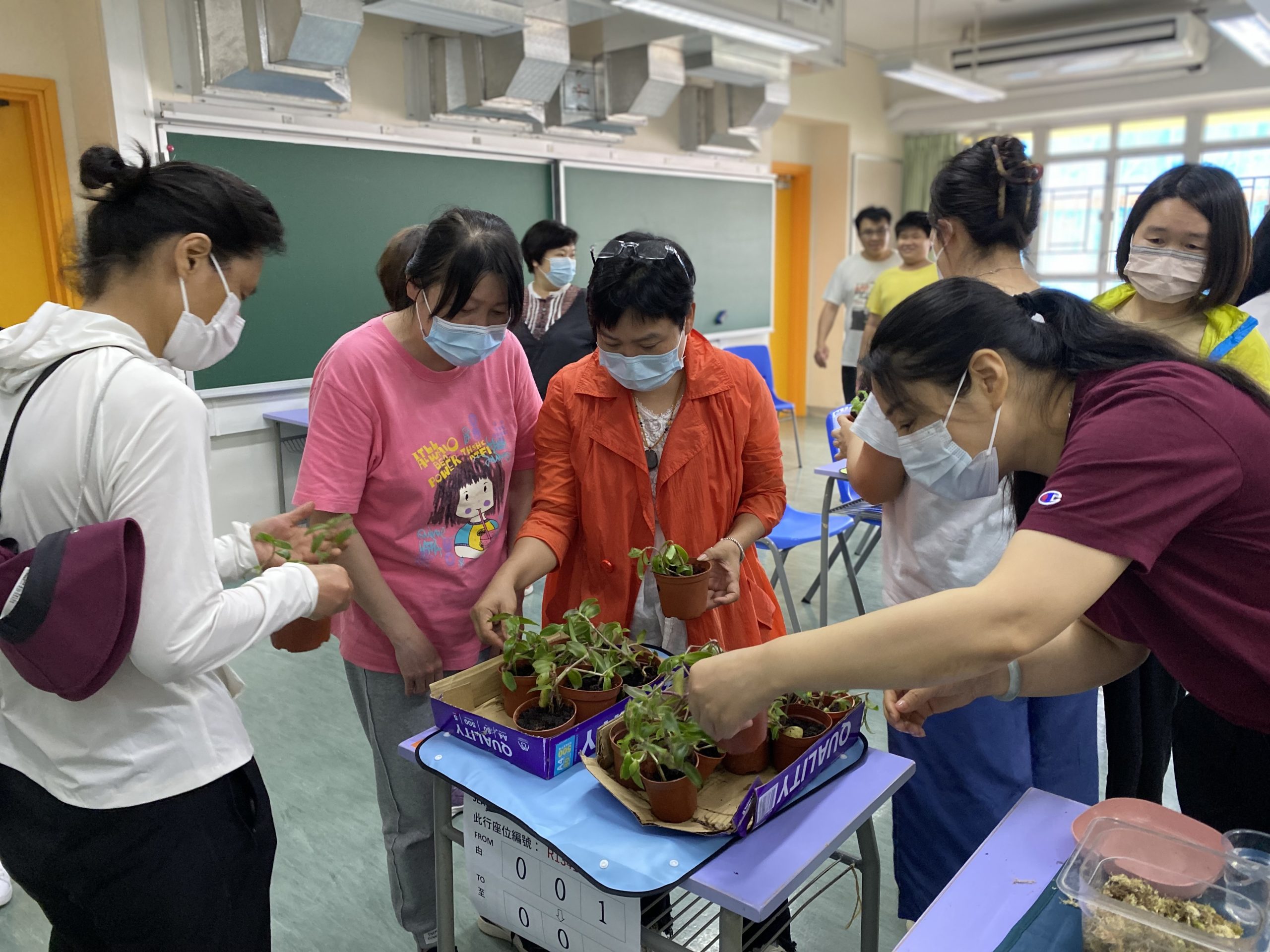 園藝治療