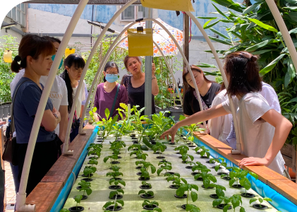 Visitors exploring AI2 Community Farm's aquaponics farm during a sustainable farming tour.