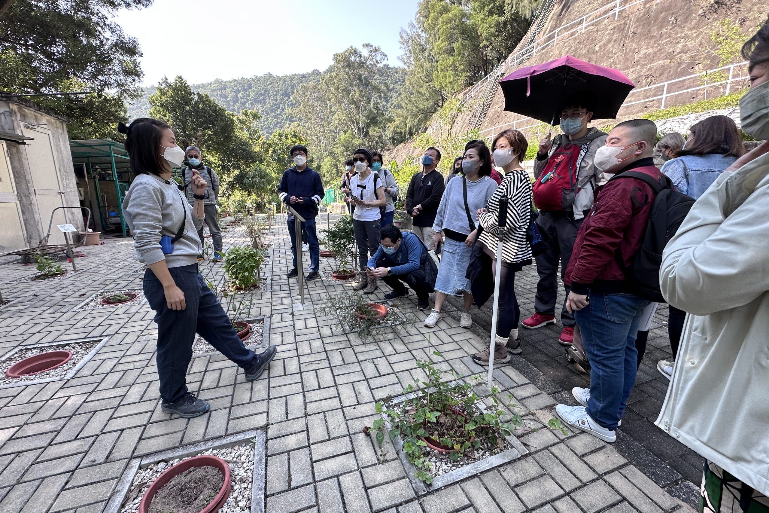 Volunteers touring Green Skies’ eco-friendly farming initiative for charities.