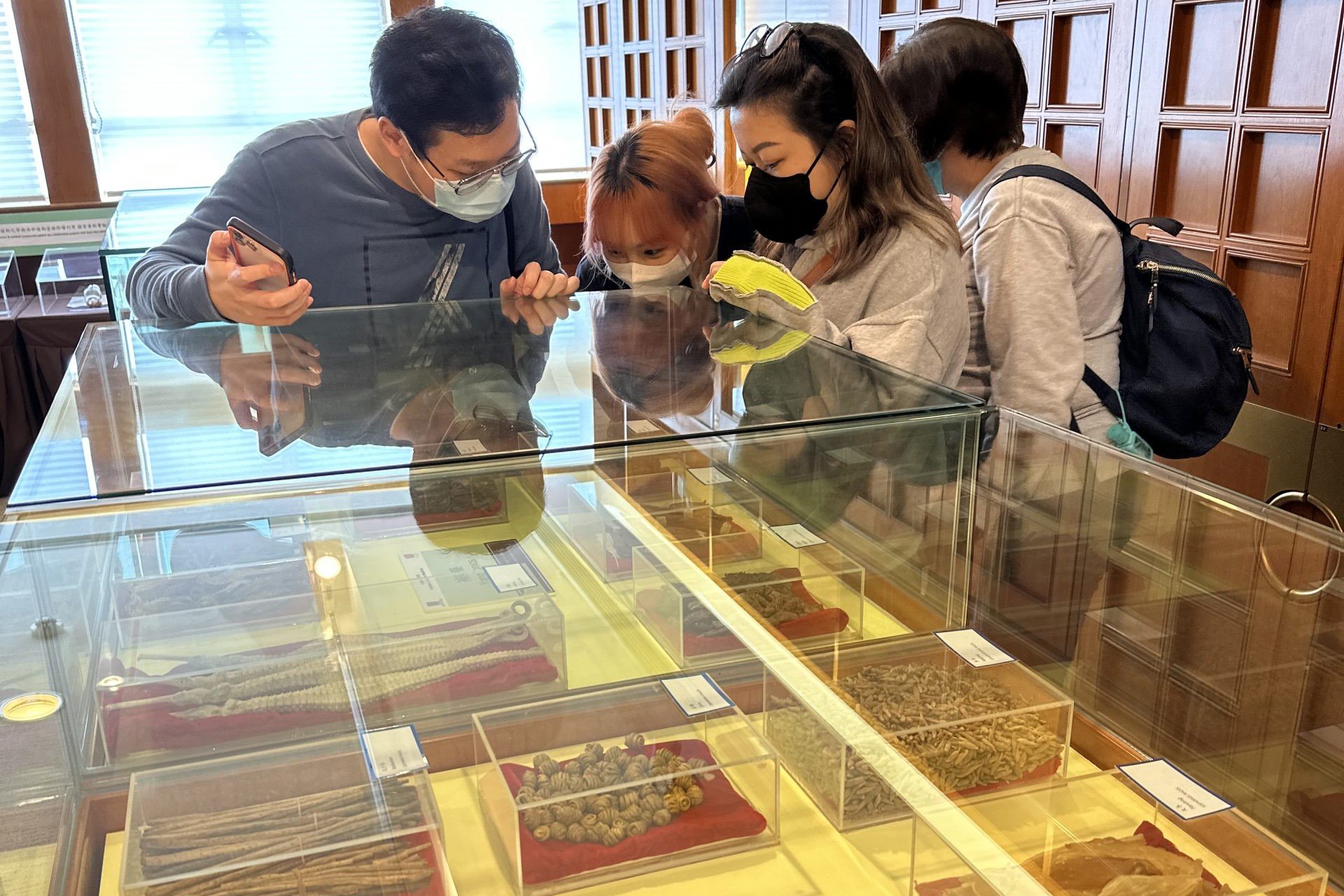 Charity members browsing dried herbs in display.