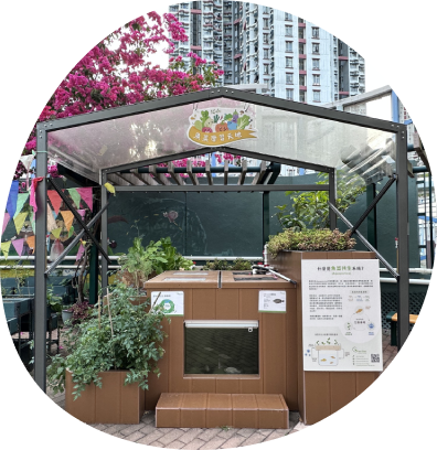 School garden showcasing Green Skies’ sustainable aquaponics for education